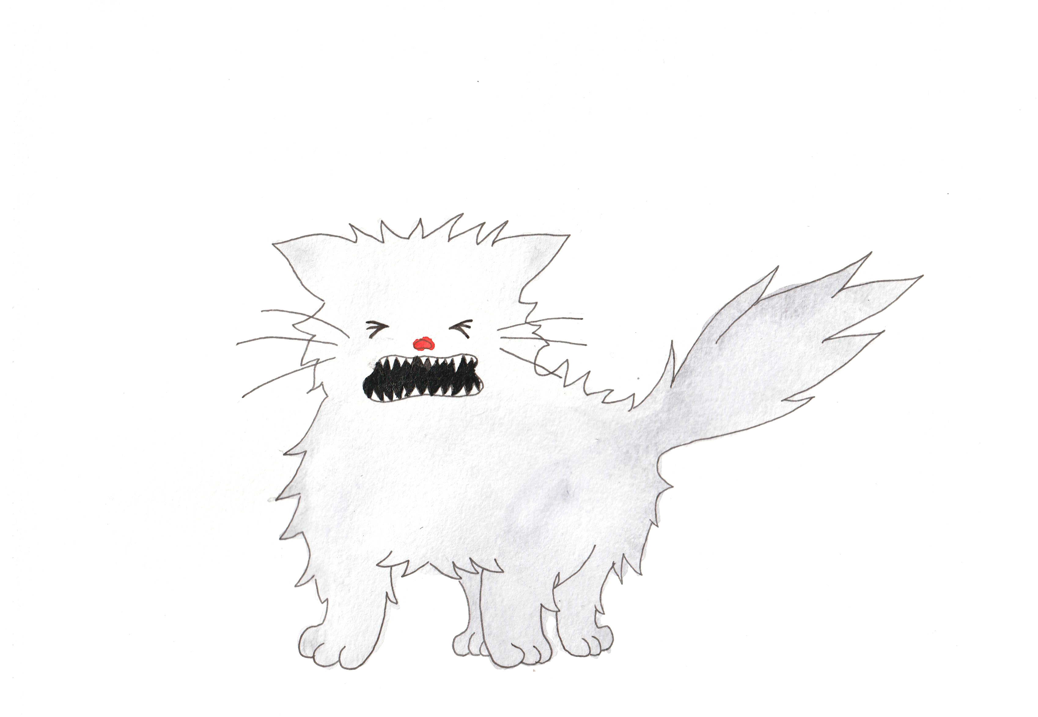 Drawing of an angry cat