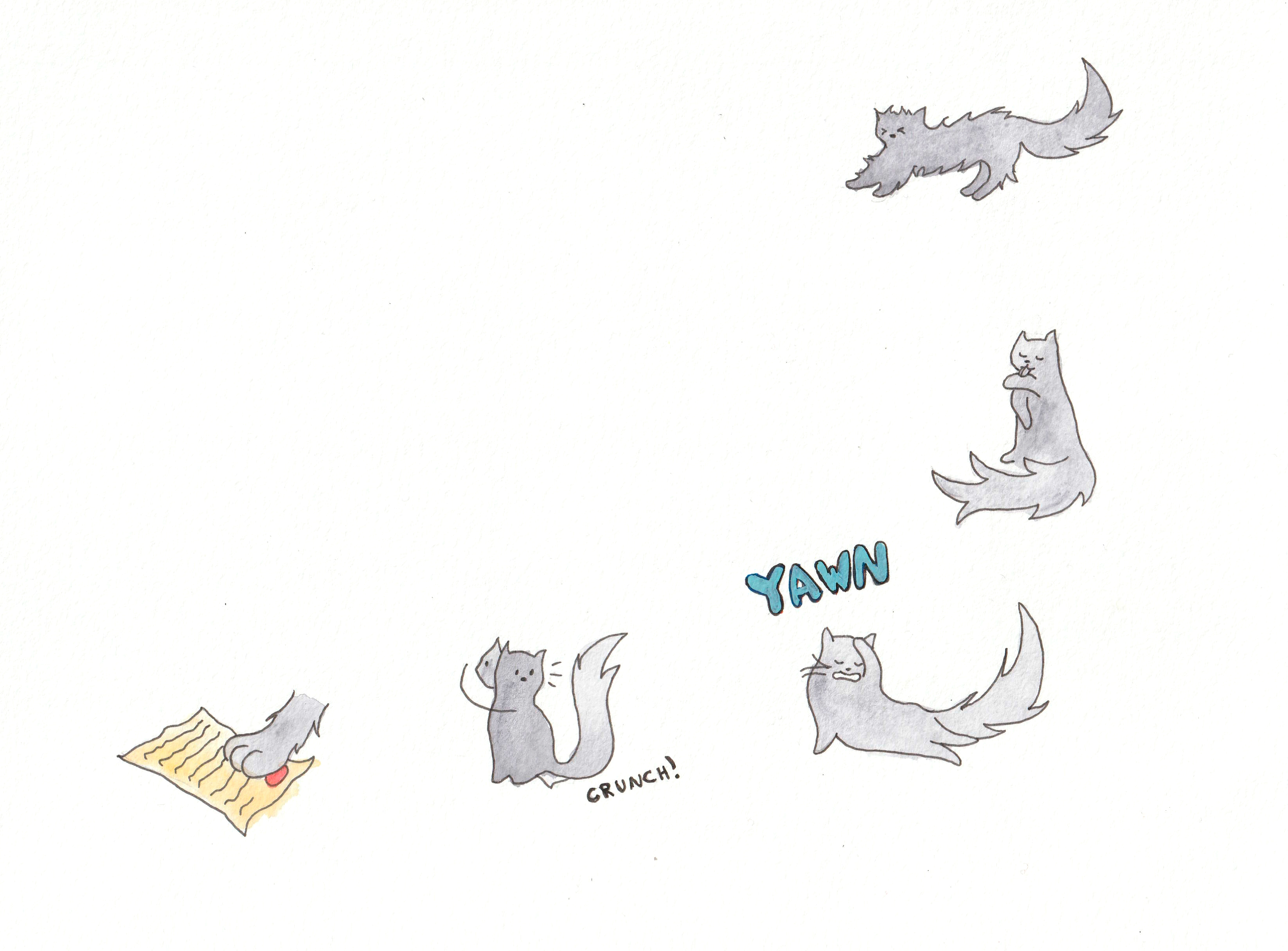 A cat and it's morning routine. The cat then finds a note.