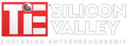 Silicon Valley logo with globe.