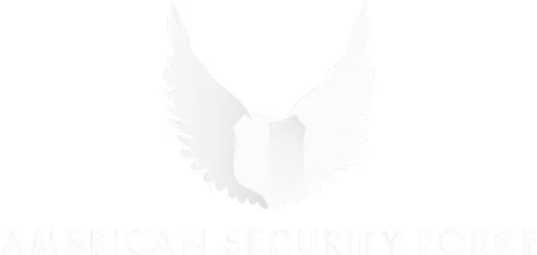 MSS Security logo with globe.