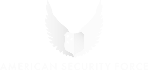 MSS Security logo with globe.