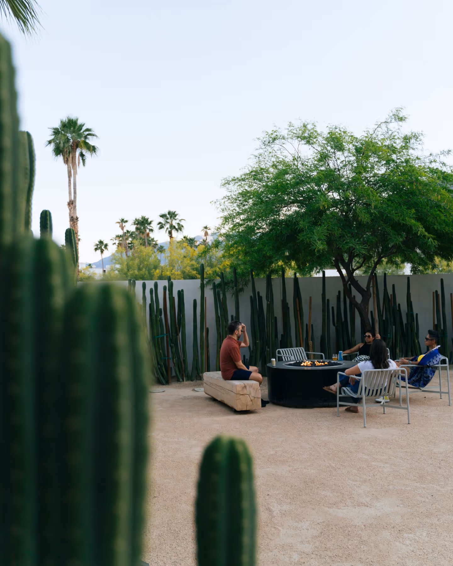 Group of people relaxing around a modern fire pit in a cactus-lined desert courtyard, surrounded by palm trees and a clear blue sky.