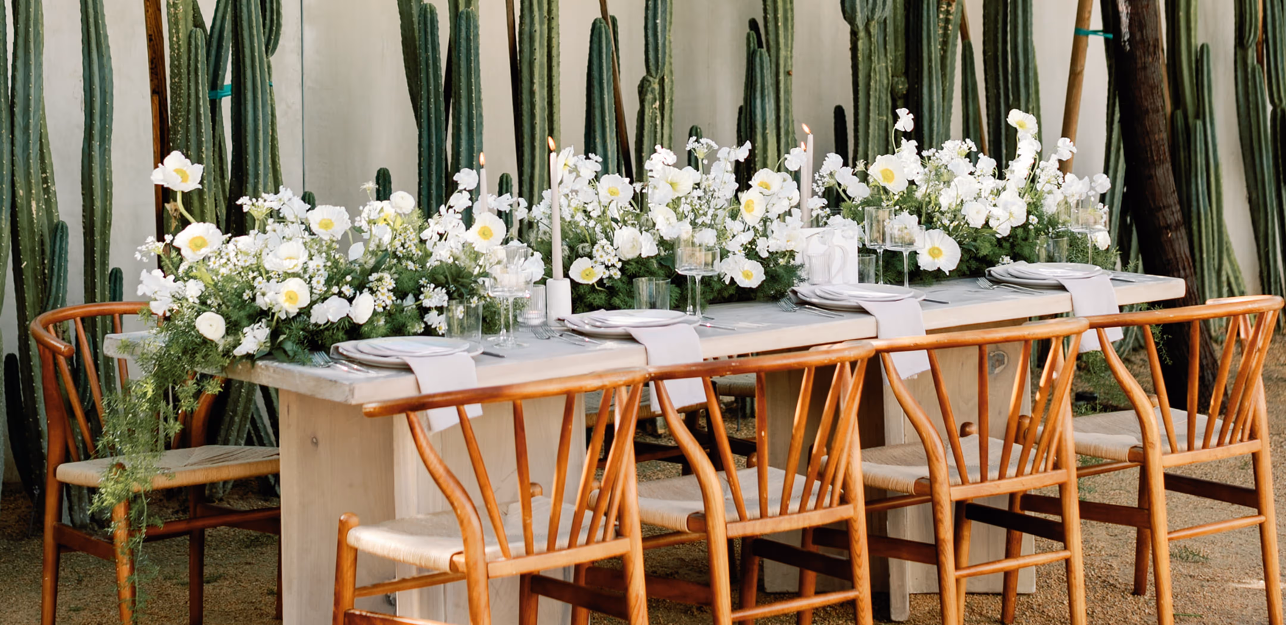 Outdoor dining table set against tall green cacti, adorned with a lush runner of white flowers, taper candles, glassware and wooden chairs.