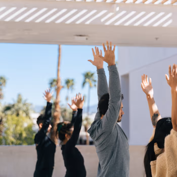 Group practicing outdoor yoga with arms raised under a sunlit pergola with palm trees