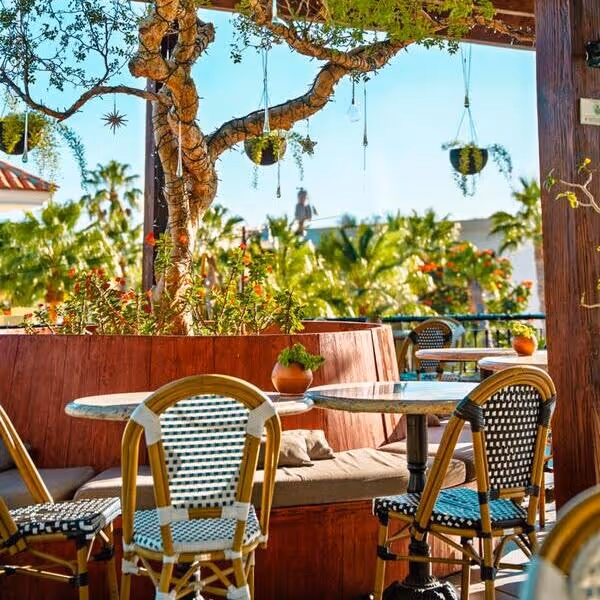 Outdoor patio seating area with woven bistro chairs, rustic tables, hanging plants, and a gnarled tree in a tropical setting.