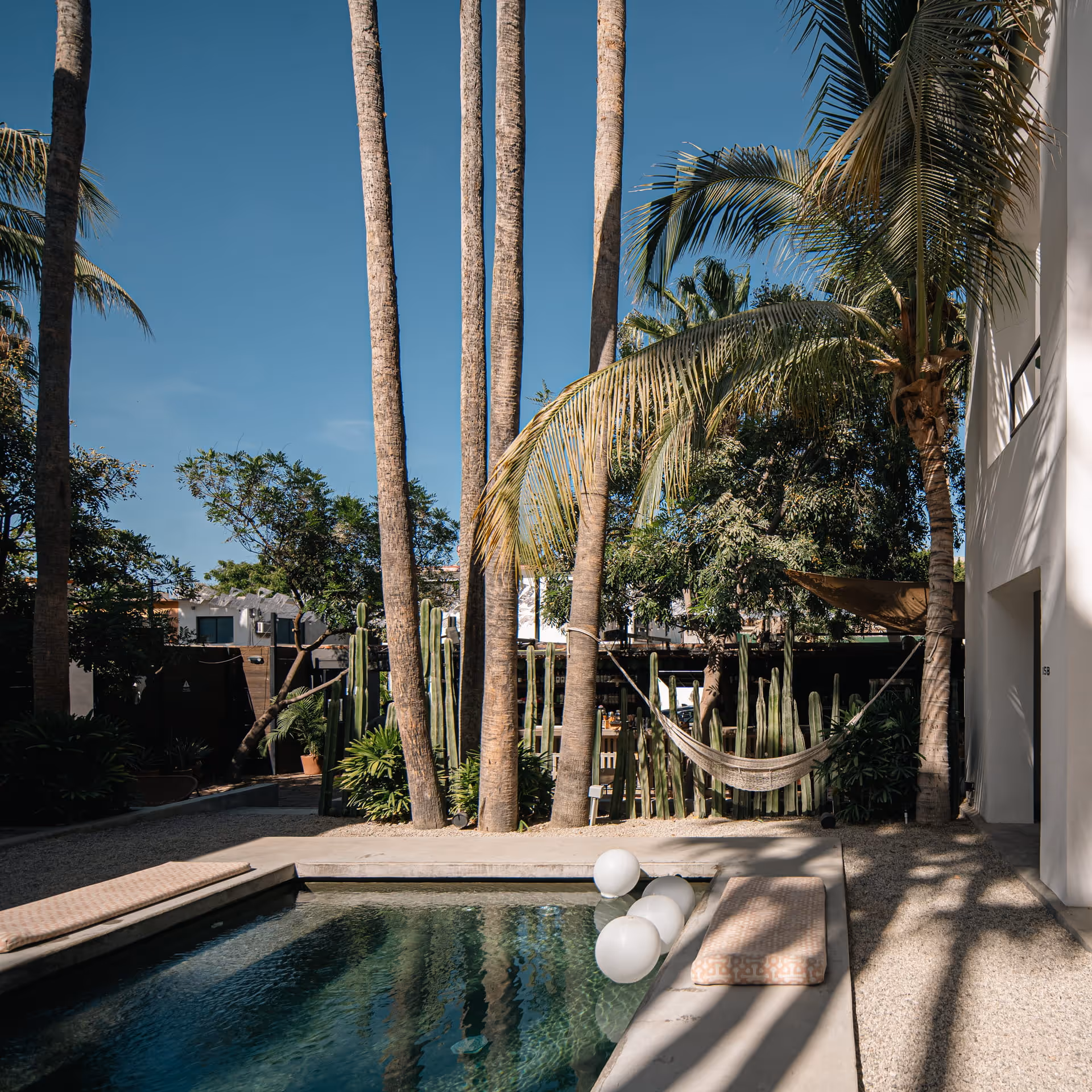 Tropical courtyard with a small plunge pool, tall palm trees, cacti, a hammock, and white modern architecture under blue