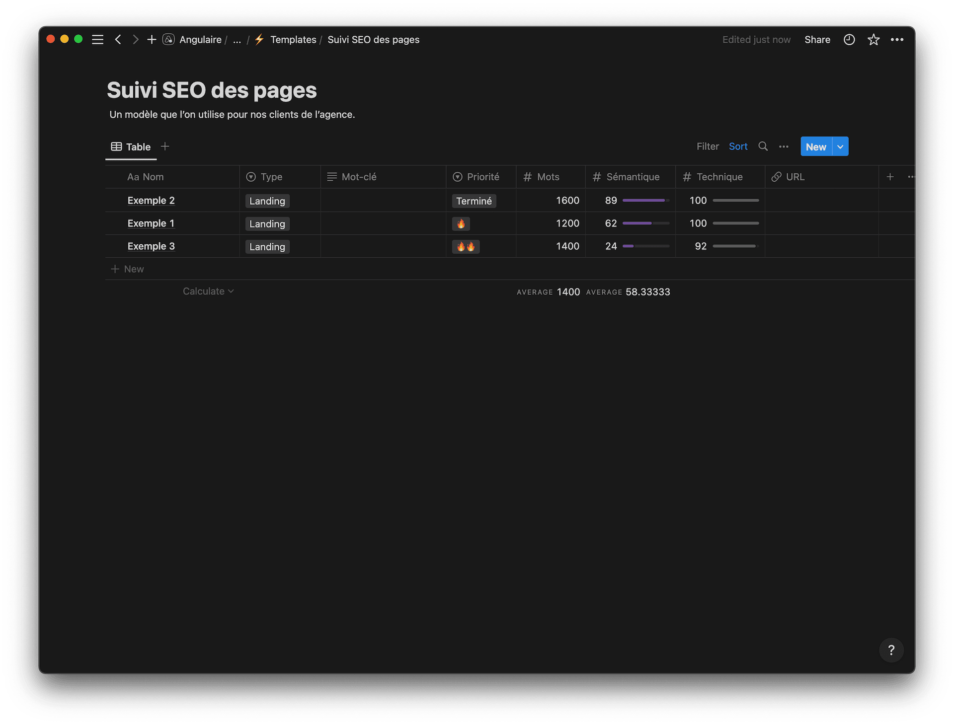 notion suivi seo