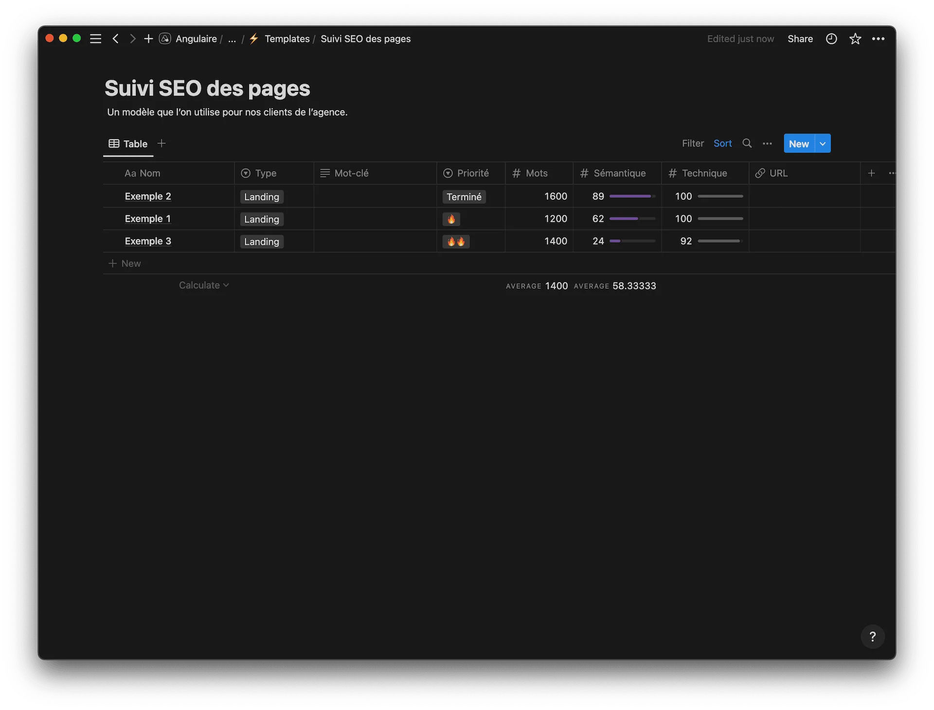 notion suivi seo