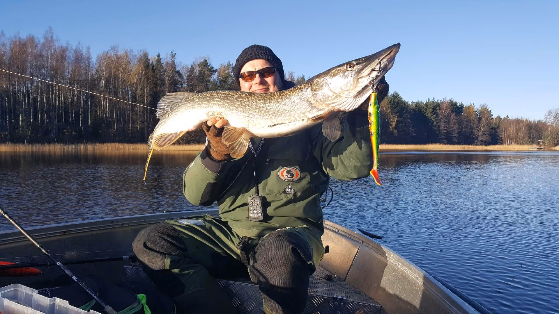 Person in green fishing gear sitting in a boat holding a large northern pike with a colorful lure in its mouth on a calm lake.