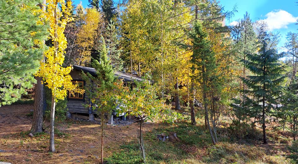Small wooden cabin surrounded by green and yellow autumn trees under a blue sky.