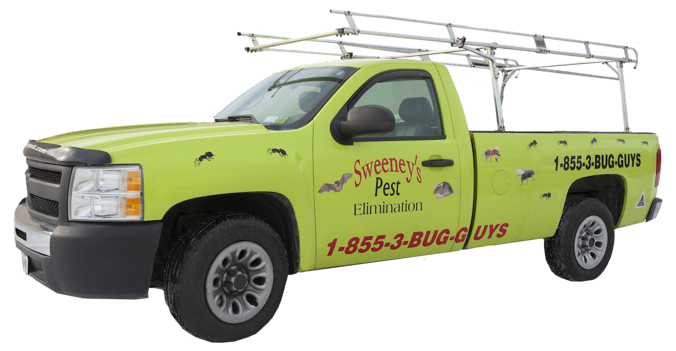 Sweeney's pest elimination truck