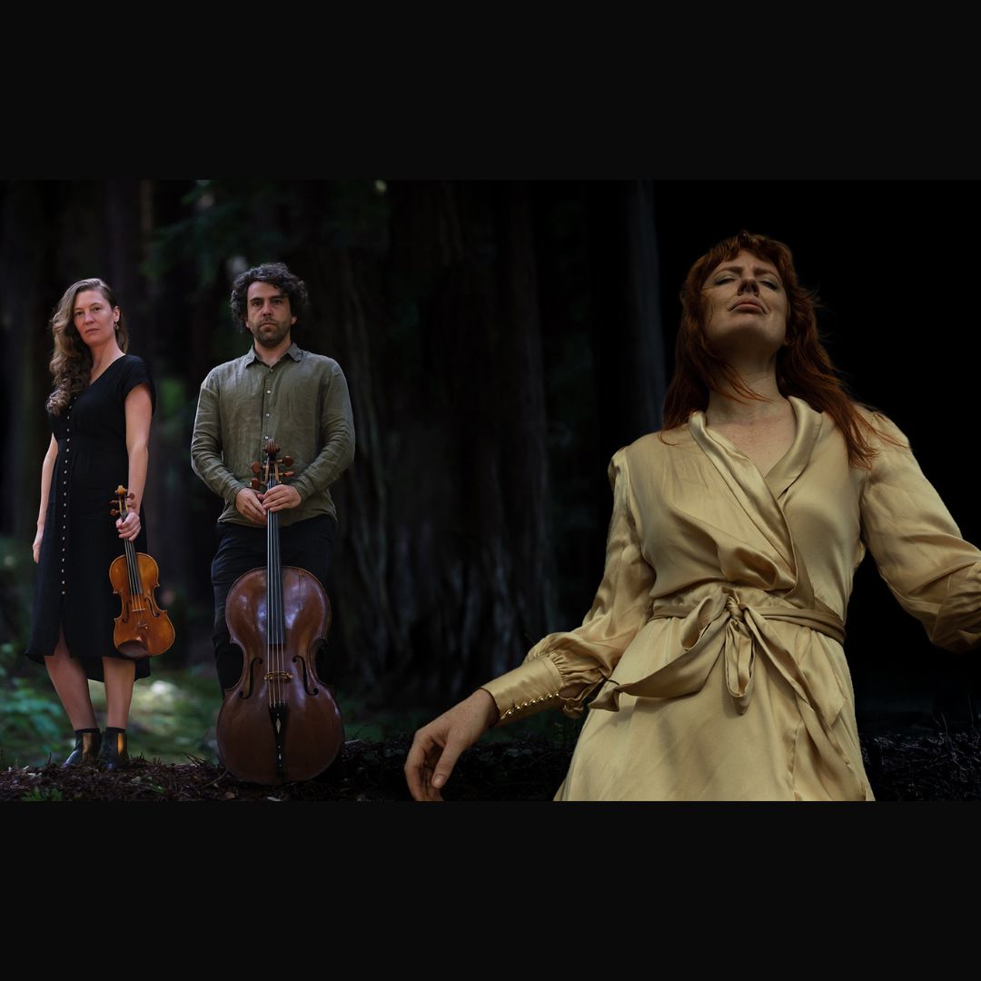 COMING SOON - NATURE FESTIVAL | The Bowerbird Collective with Bethany Hill