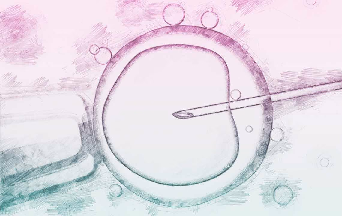 Illustration of eggs being injected