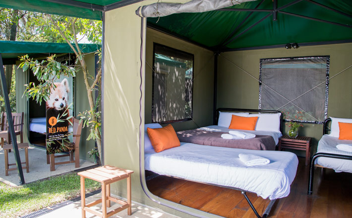 accommodation sydney