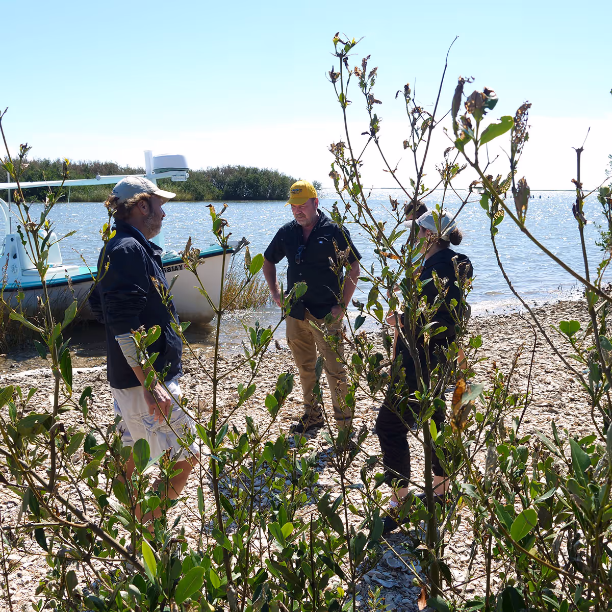 two men and a woman standing on the shore of a small beach with foliage in the foreground