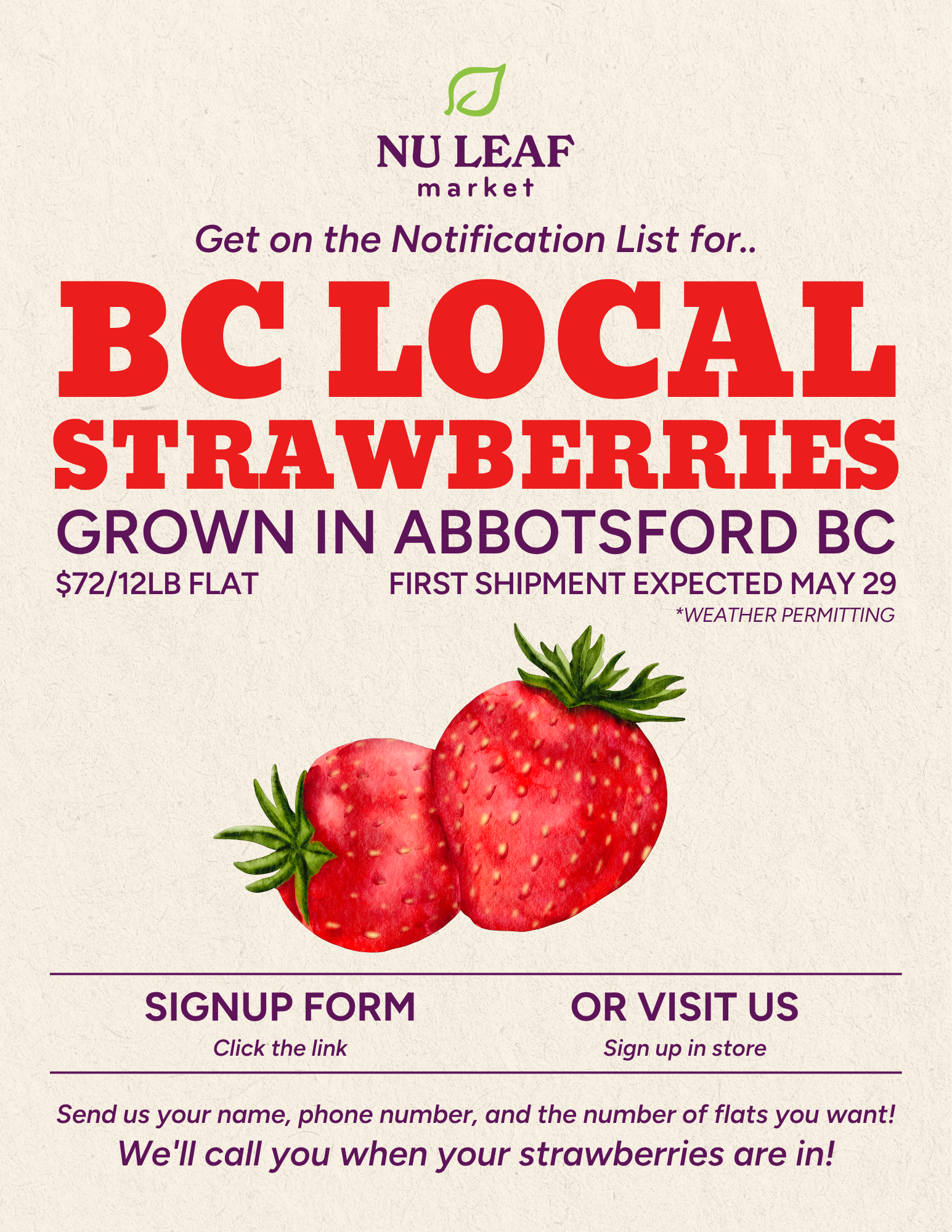 Strawberry Notification List