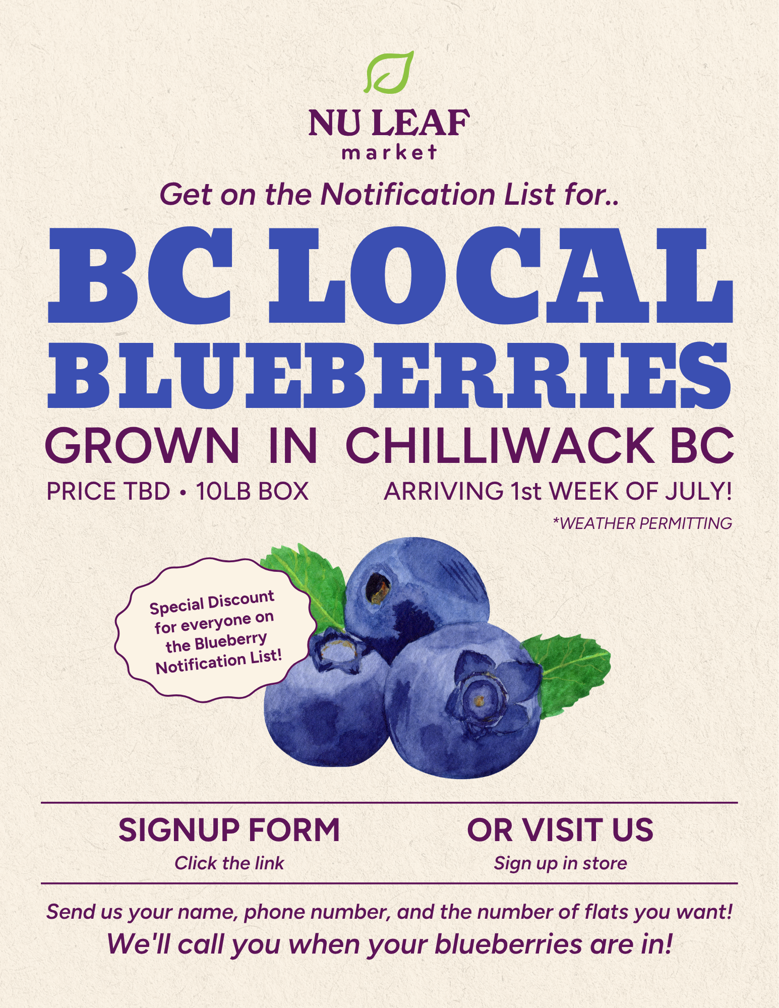 Blueberry Notification List