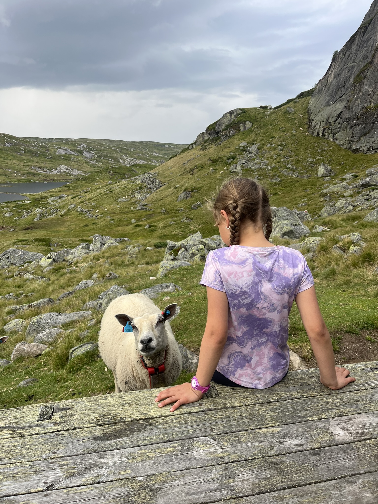 Et hold fjeldvandrere på tur i sneen