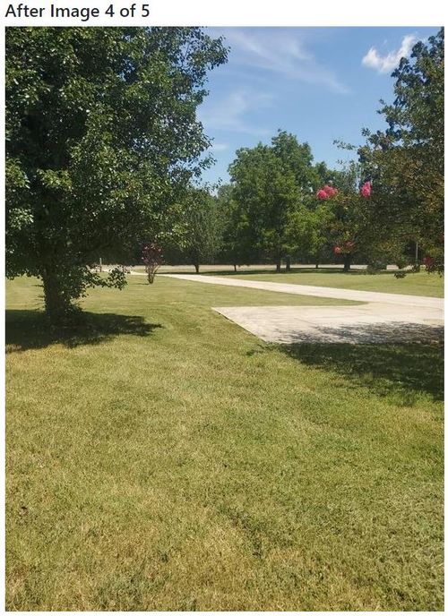 A sample picture of freshly cut grass.