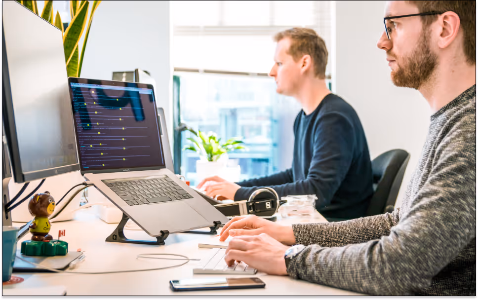 IT staff augmentation project