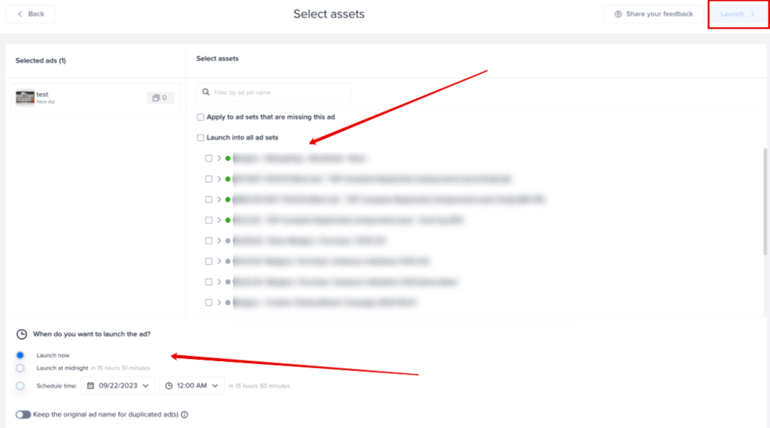 Select assets screen with the list of ad sets highlighted where you can launch your new ad as well as where you can set the publishing date.