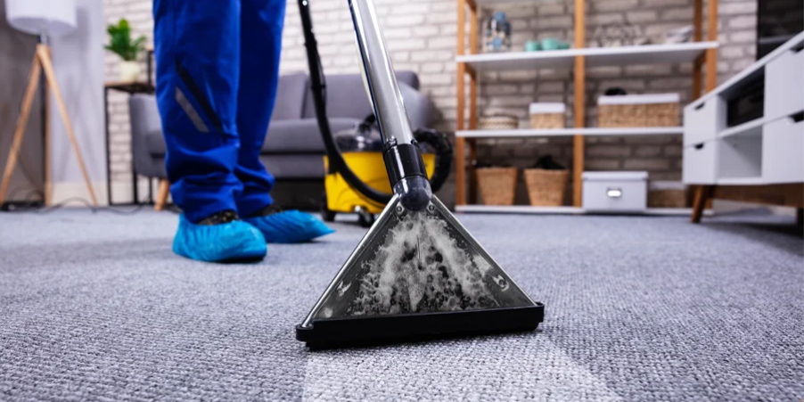 Close up of a machine cleaning a carpet in a living room