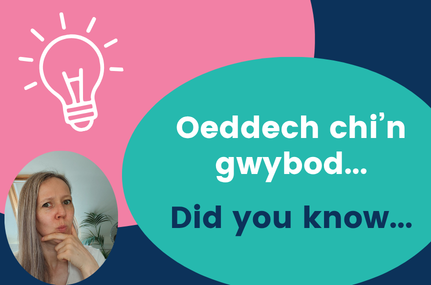 Graphic with lightbulb and photo of woman thinking. Text says did you know in Welsh and English