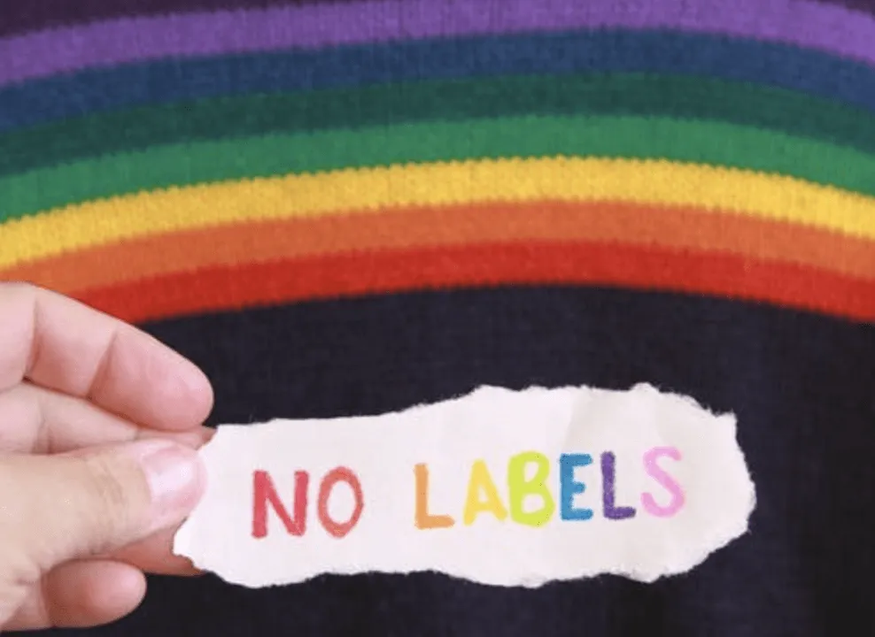 PUTTING THE Q IN LGBTQ+