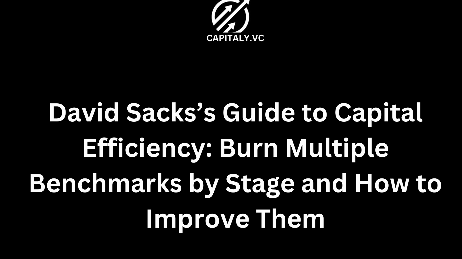 David Sacks’s Guide to Capital Efficiency: Burn Multiple Benchmarks by Stage and How to Improve Them