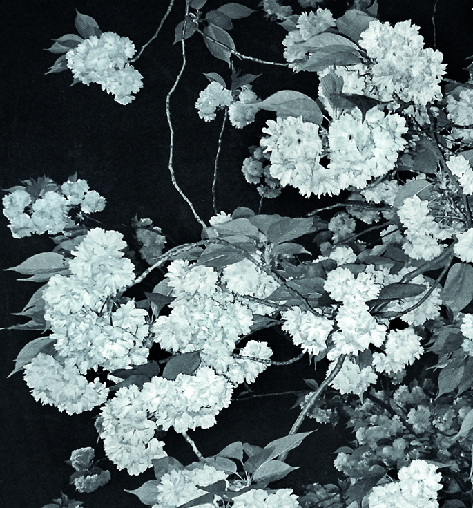 Aktuelle Ausstellung