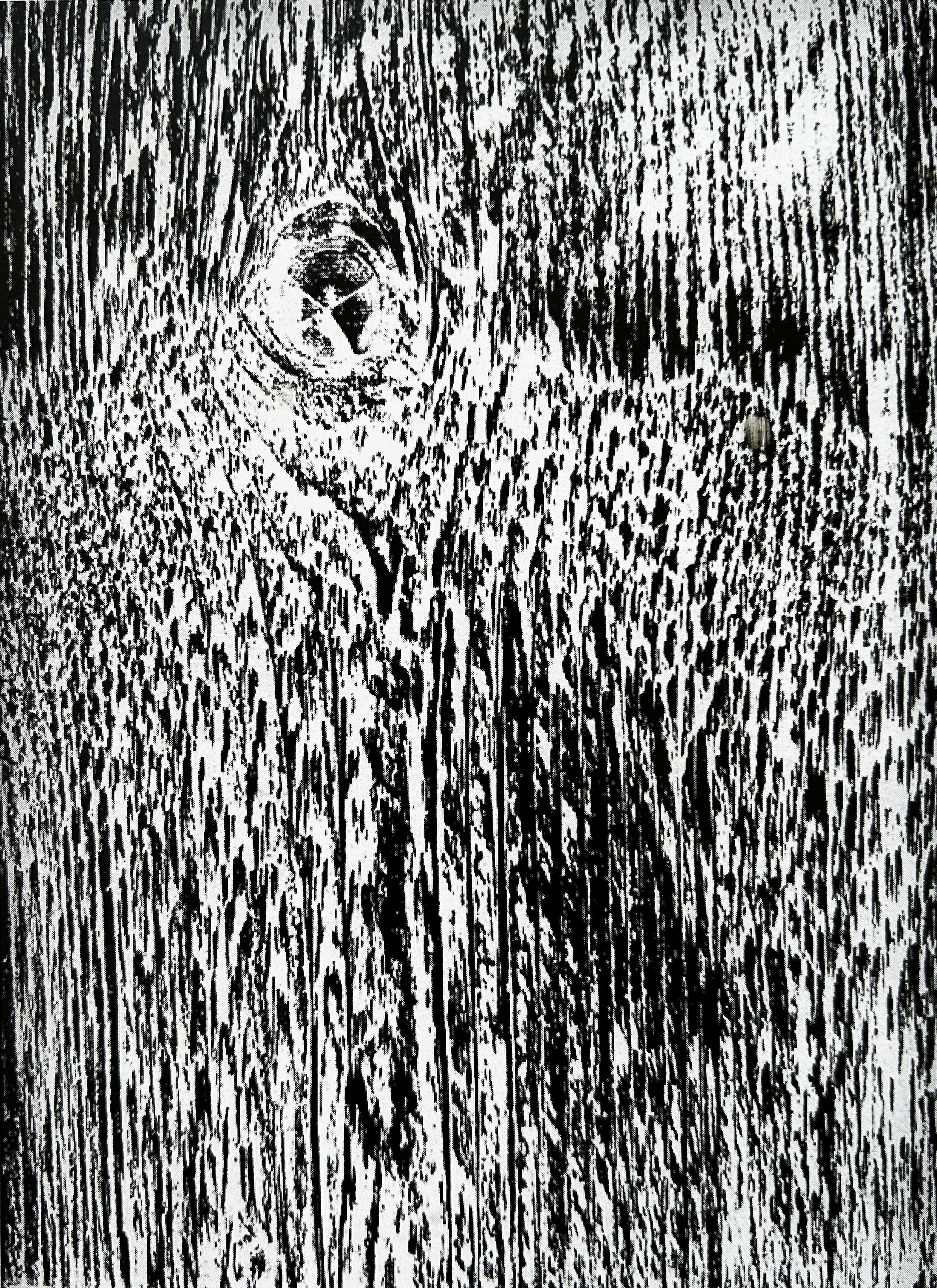 Aktuelle Ausstellung