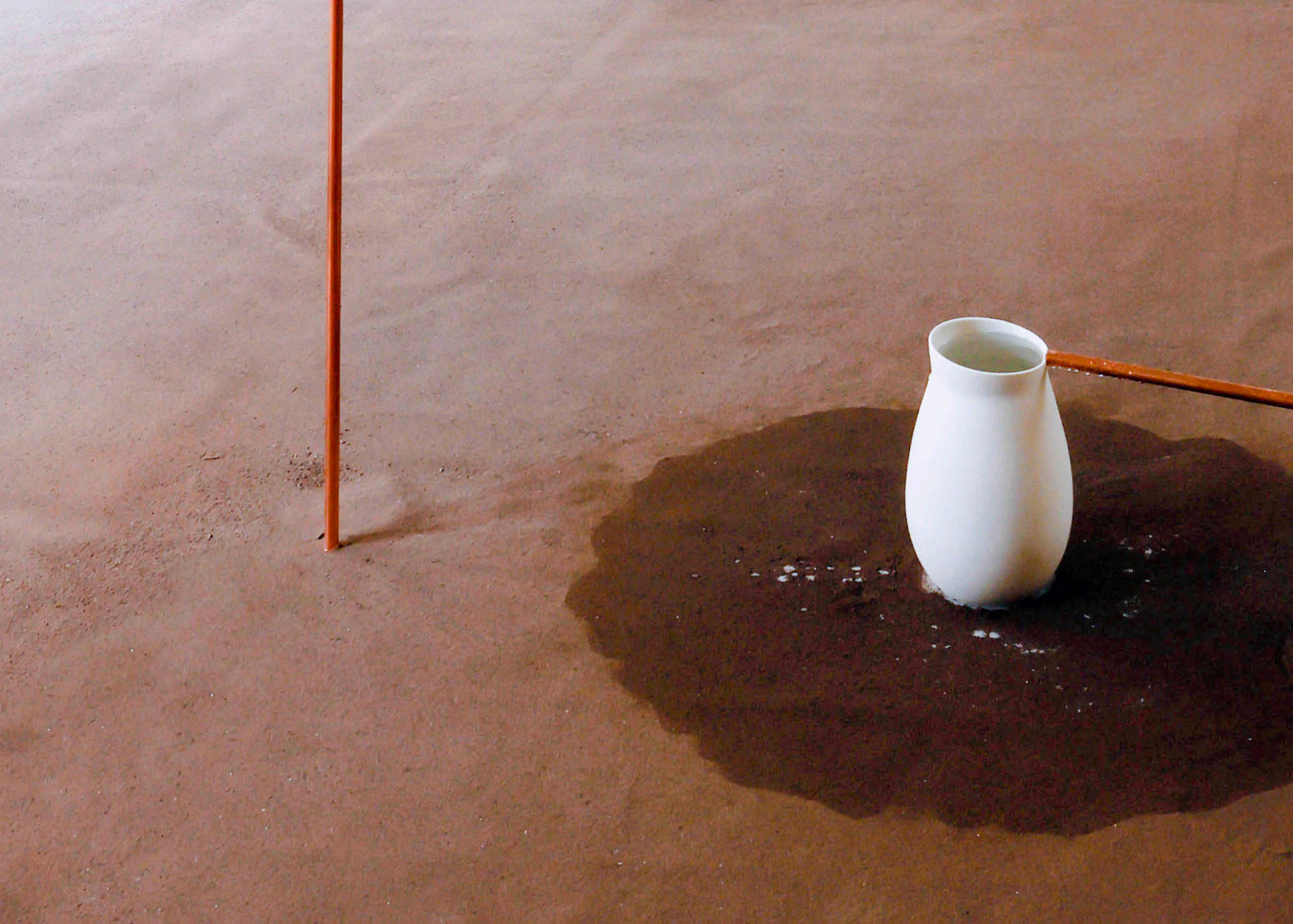 Aktuelle Ausstellung