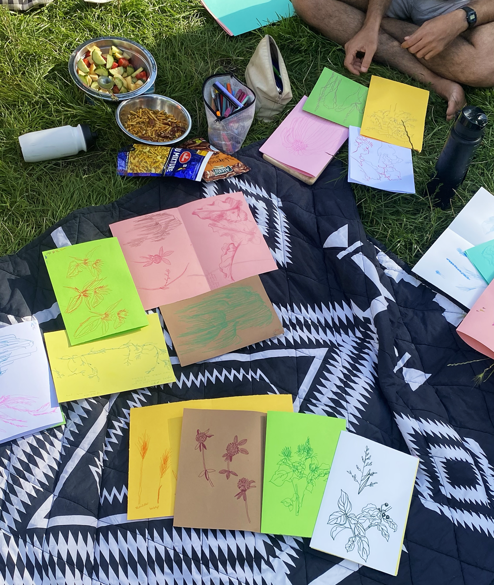 Workshop drawing plants and foraging outside