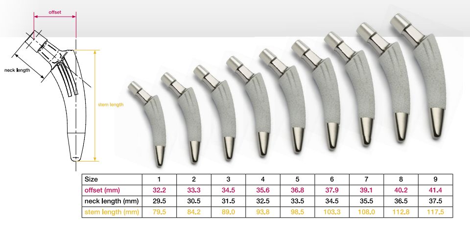 Geometrie und verfügbare Implantatgrößen MiniHip Corin Group