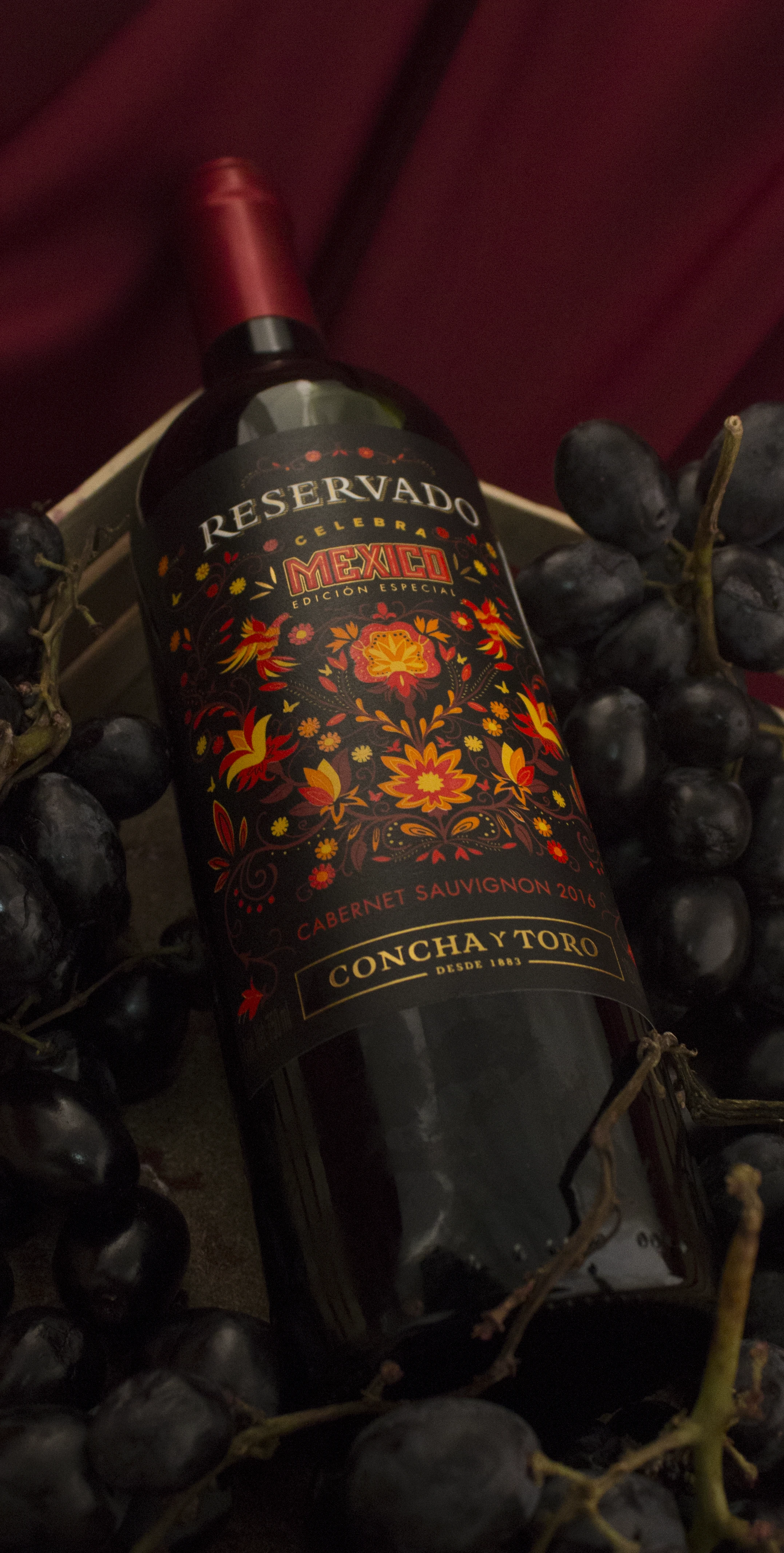 Botella de vino con uvas en escenario para fotografía de producto.