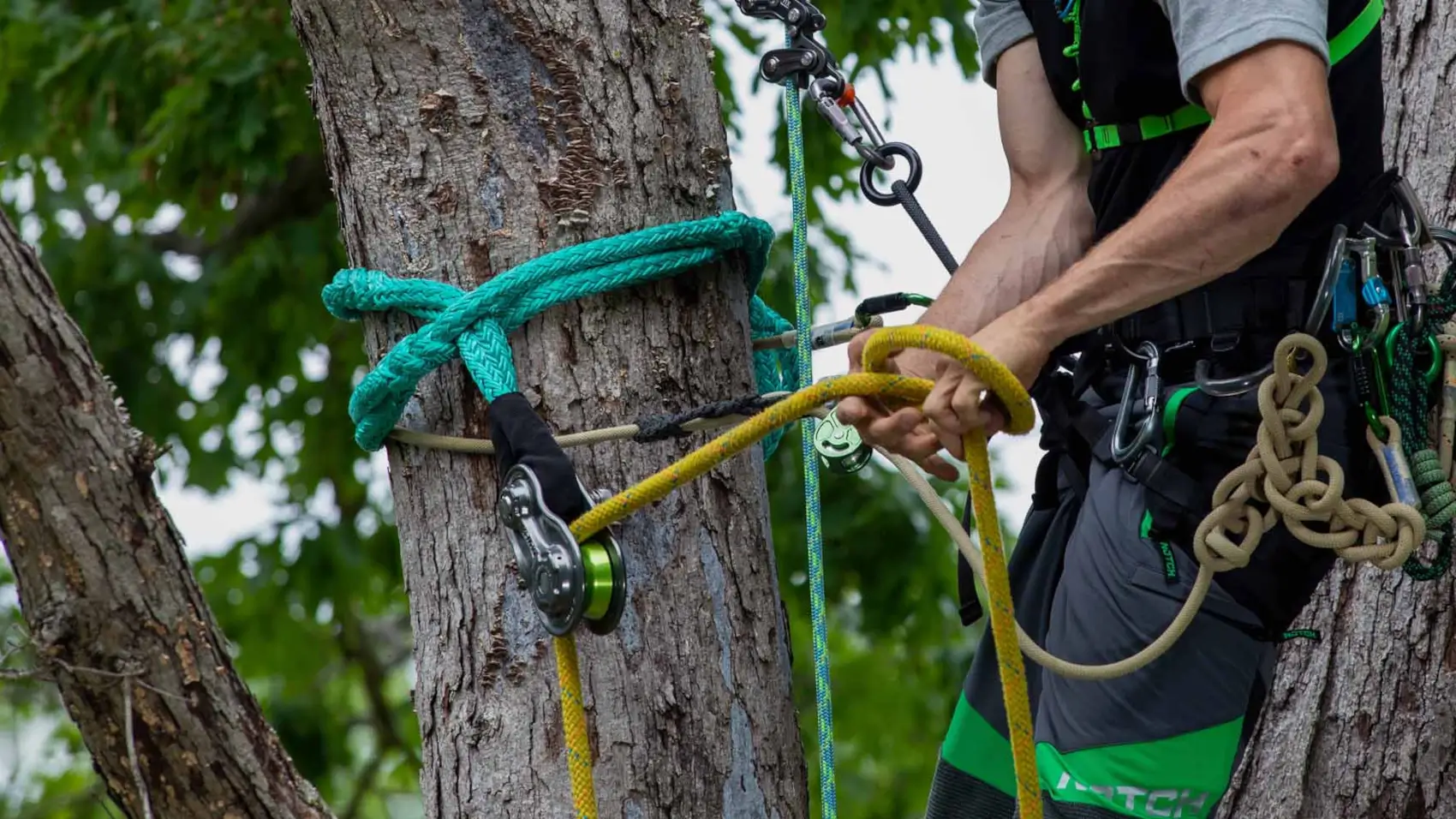 Arborist Rigging Equipment