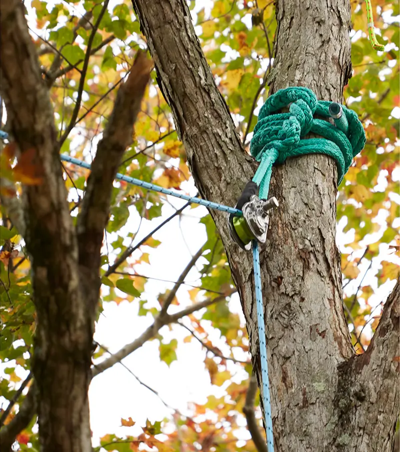 Rigging