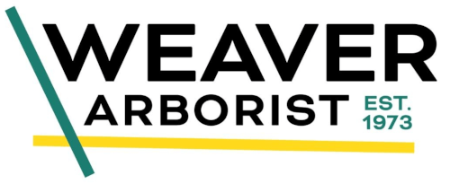 Weaver Arborist