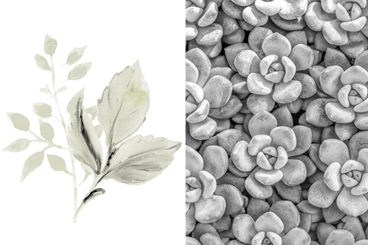 Black and white image featuring a plant alongside a single leaf, highlighting their textures and shapes.