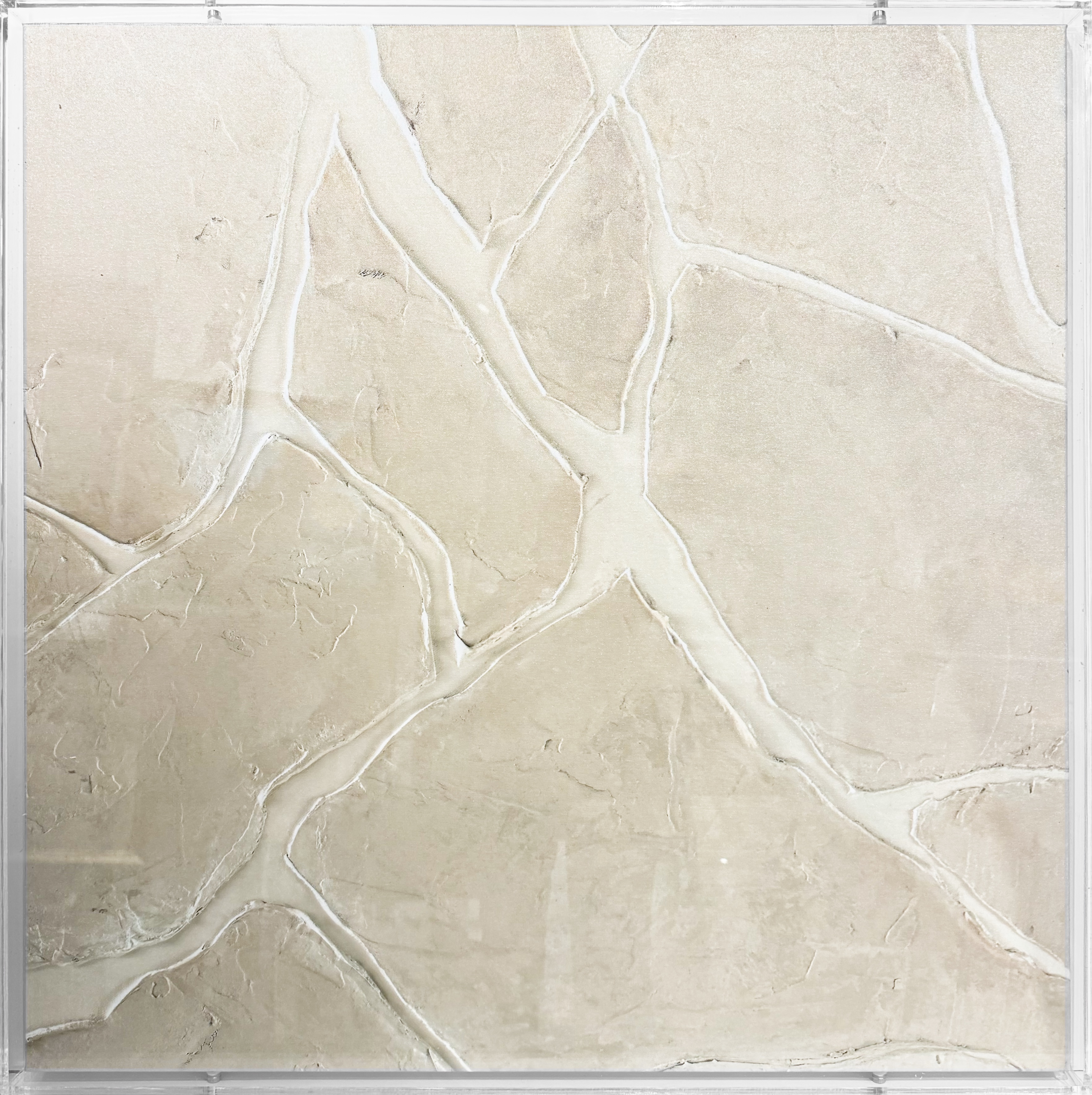 Subtle raised lines create a branching, organic pattern that adds quiet movement and depth to neutral interiors. Printed on premium canvas and presented within a clear acrylic shadowbox, the piece offers a clean, architectural finish that pairs effortlessly with modern, warm-toned spaces.