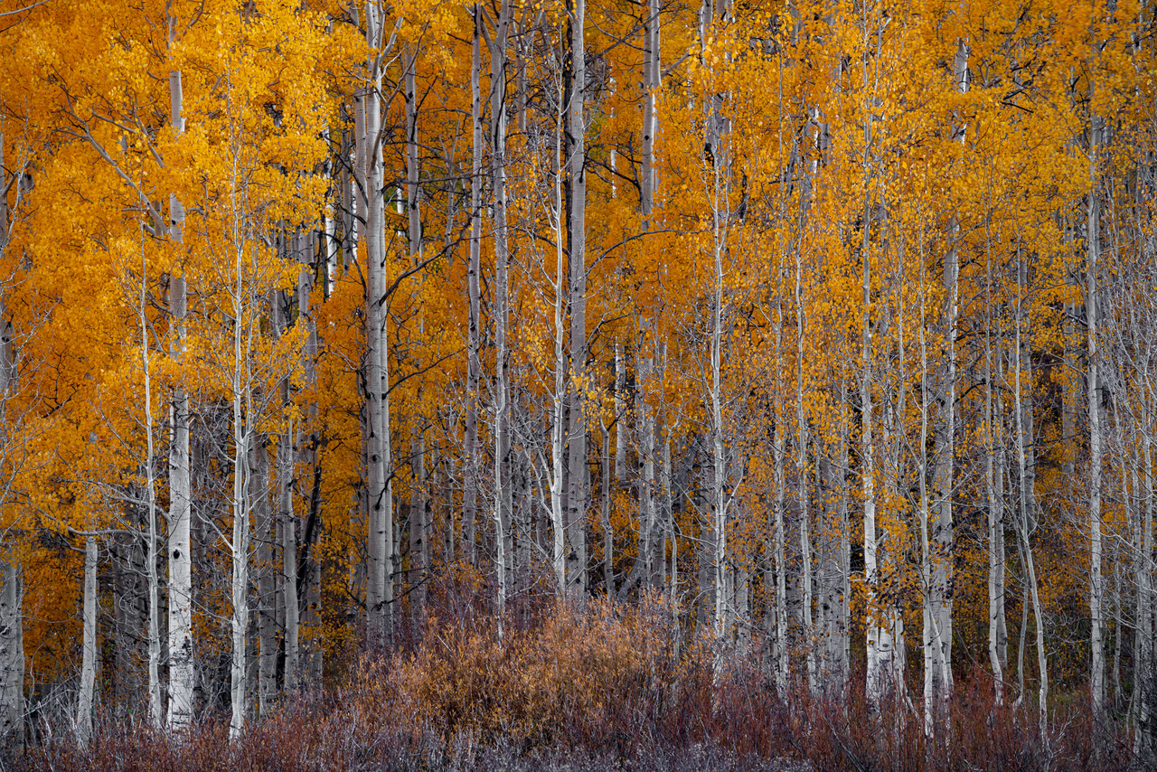 This beautiful image of Utah's landscape will be printed onto sleek metal with a recessed frameback and will be a classy, modern addition to your home. 