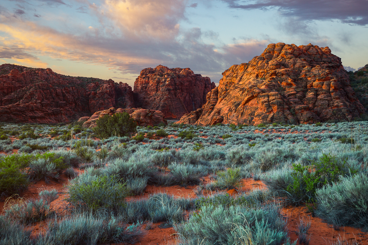 This beautiful image of Utah's landscape will be printed onto sleek metal with a recessed frameback and will be a classy, modern addition to your home. 