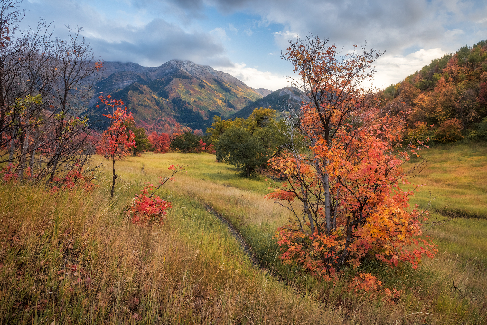 This beautiful image of Utah's landscape will be printed onto sleek metal with a recessed frameback and will be a classy, modern addition to your home. 