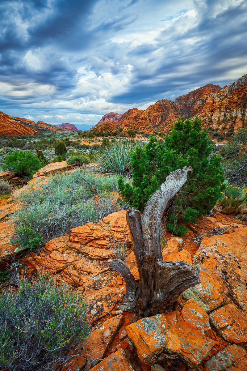 This beautiful image of Utah's landscape will be printed onto sleek metal with a recessed frameback and will be a classy, modern addition to your home. 