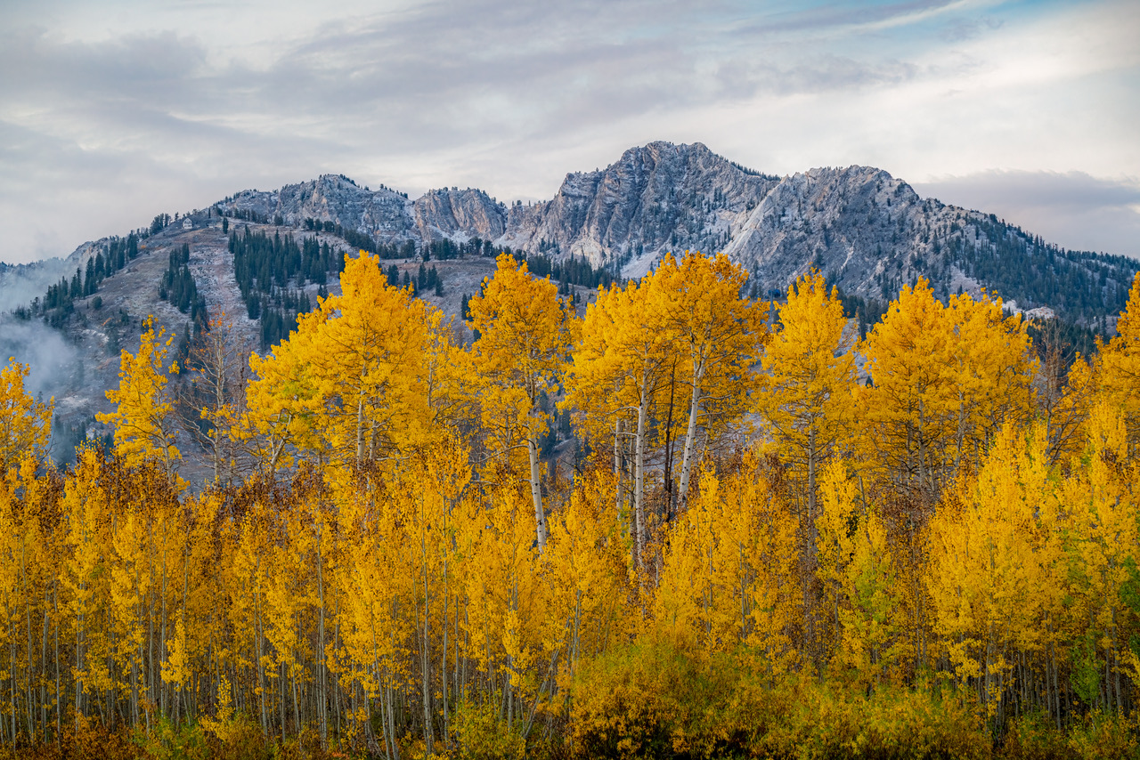 This beautiful image of Utah's landscape will be printed onto sleek metal with a recessed frameback and will be a classy, modern addition to your home. 