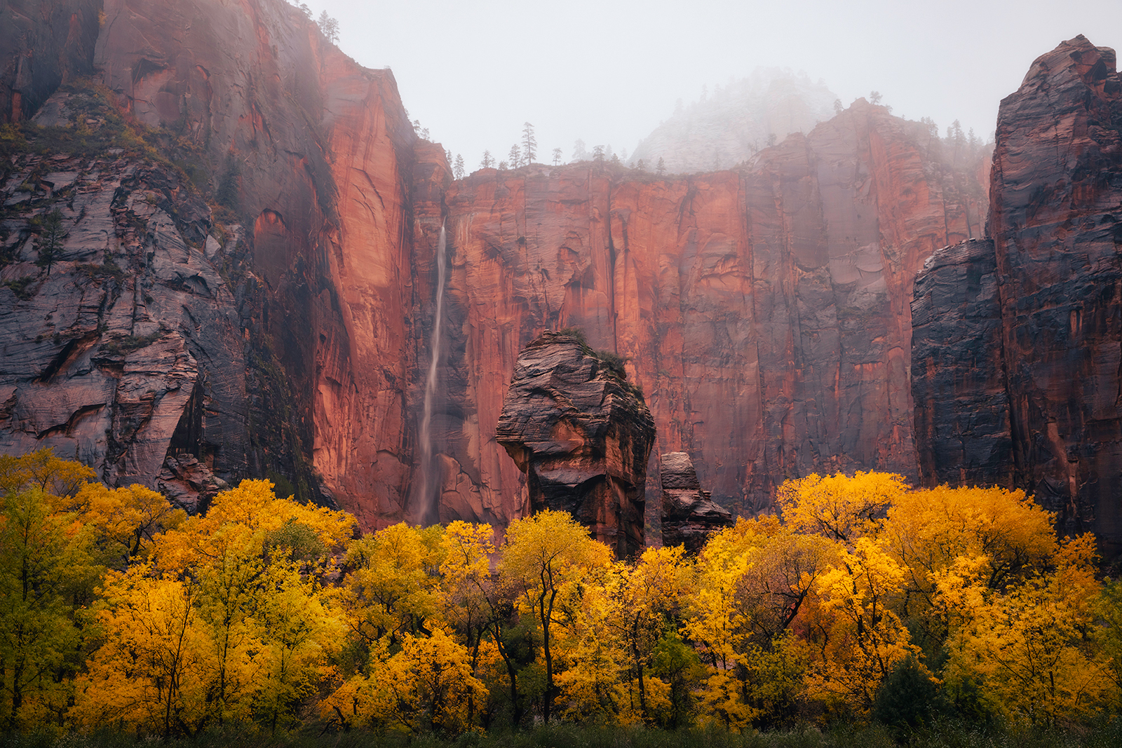 This beautiful image of Utah's landscape will be printed onto sleek metal with a recessed frameback and will be a classy, modern addition to your home. 