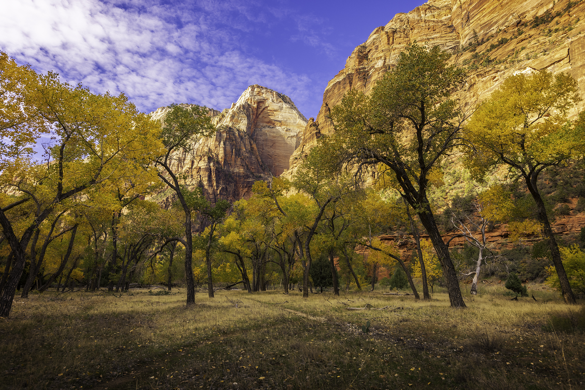 This beautiful image of Utah's landscape will be printed onto sleek metal with a recessed frameback and will be a classy, modern addition to your home. 