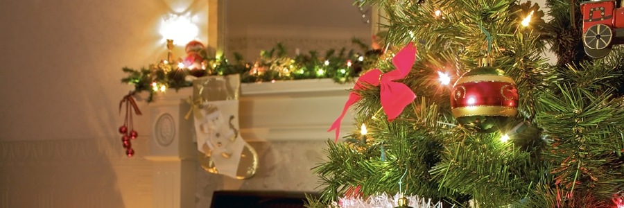 Christmas tree and decorated mantel.