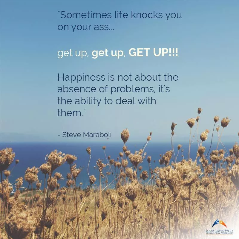 Inspirational quote on dealing with problems over field of wildflowers.