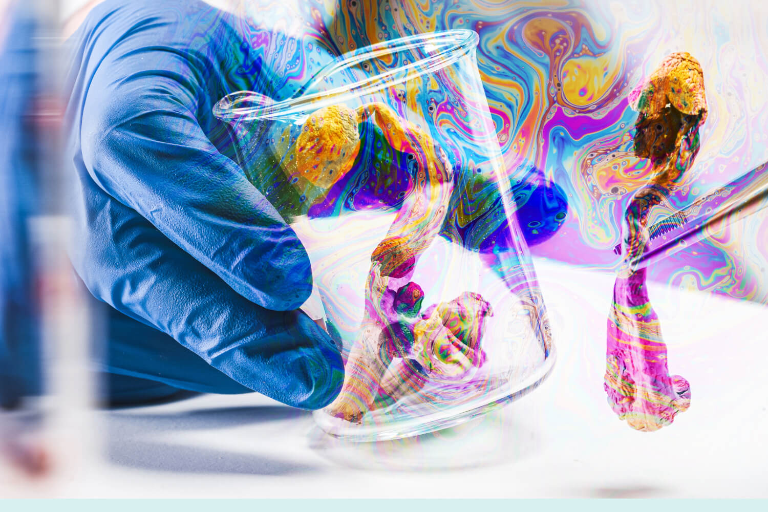 Gloved hand holding psychedelic mushroom in beaker.
